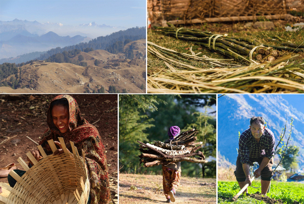 Himachal Pradesh Forest Ecosystem Services (HP-FES) Conservation and  Sustainable Use of Biodiversity – Sector Network Natural Resources and  Rural Development Asia