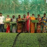 Working on women empowerment and gender inclusiveness is of central importance for all our activities, for example through the establishment of exclusive women farmer groups.