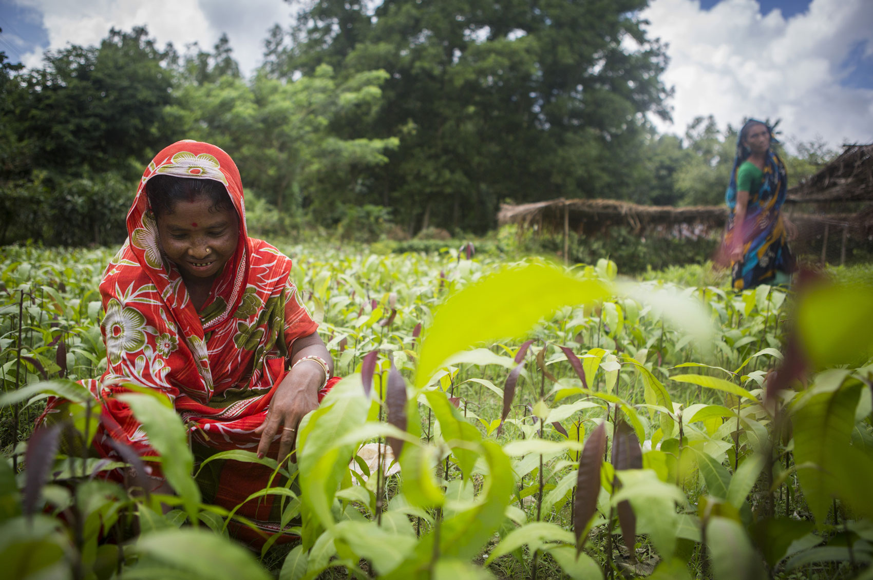 Women in a field in Bangladesh. Copyright: © GIZ / Ranak Martin