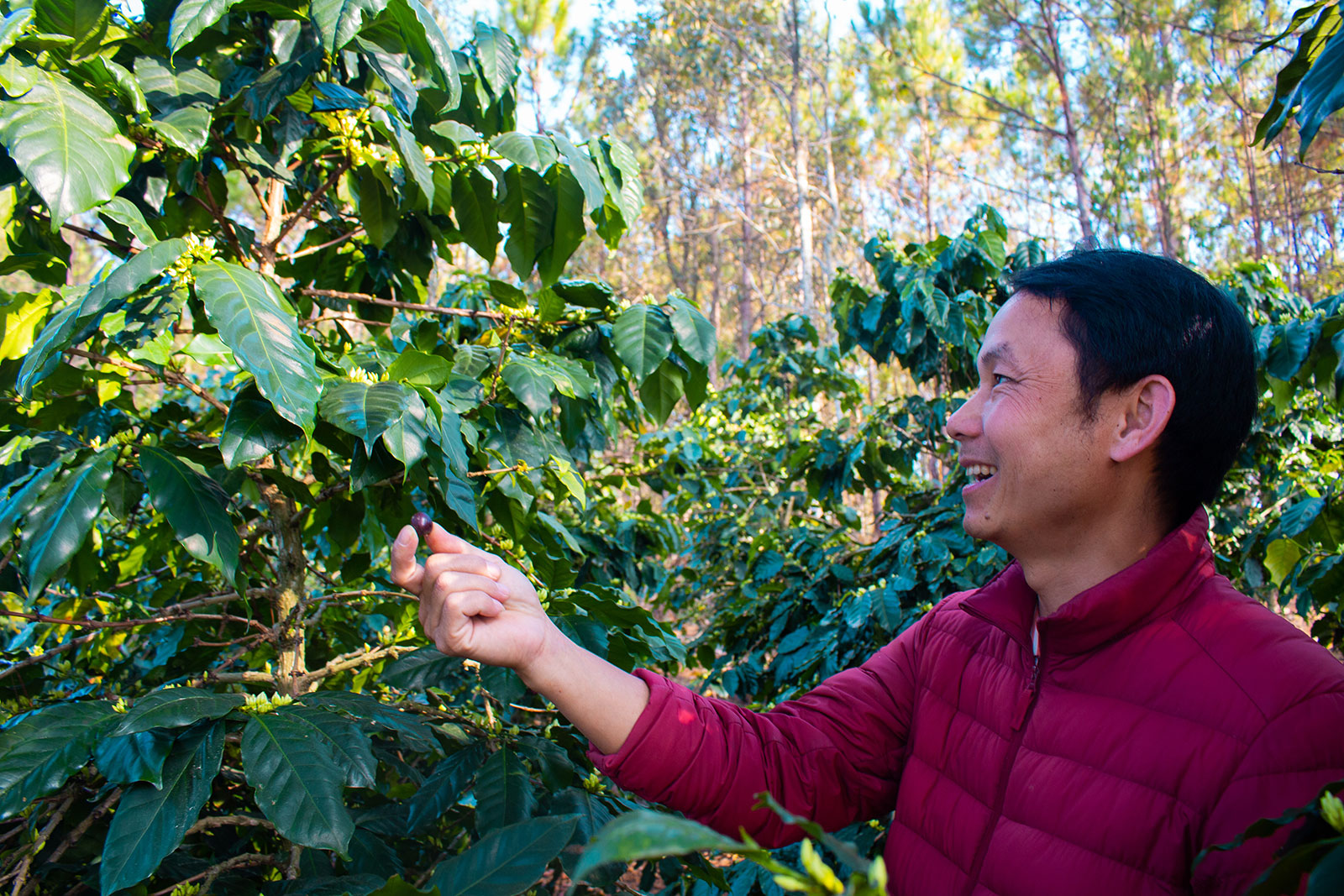 Coffee farmer in Son La (VN). Copyright: GIZ/CRAS