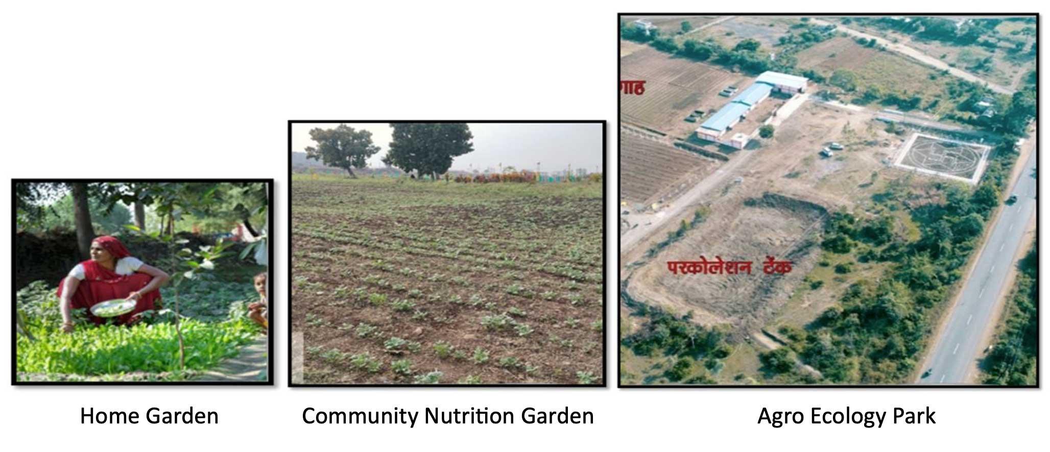 Fig:1 These agro-ecological farming sites are organized in three models
