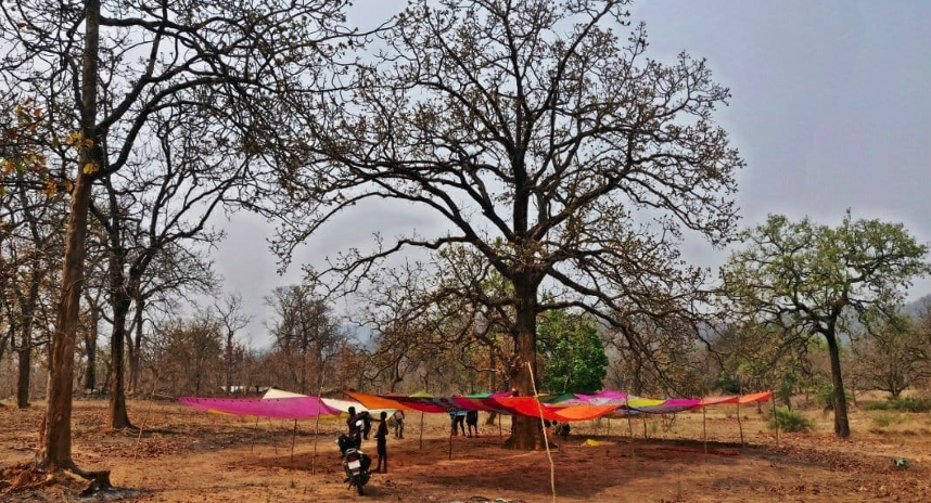 markets, and empowering community owned entrepreneurship development. Net to collect mahua from trees, reducing damages to fruit and increasing quality