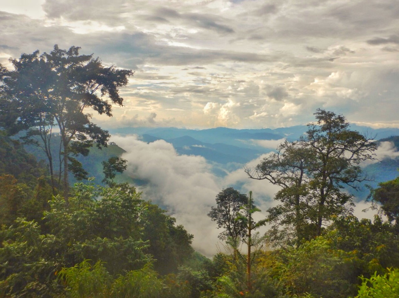 The CliPAD project has joined the implementers network and supports initiatives to reduce emissions and strengthen the resilience of local livelihoods and forest ecosystems through sustainable forest landscape management.
